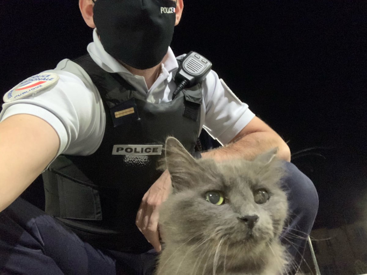 Pirate Un Chat Policier Star D Instagram 10 000 Abonnes Michael Pachen Libre Antenne